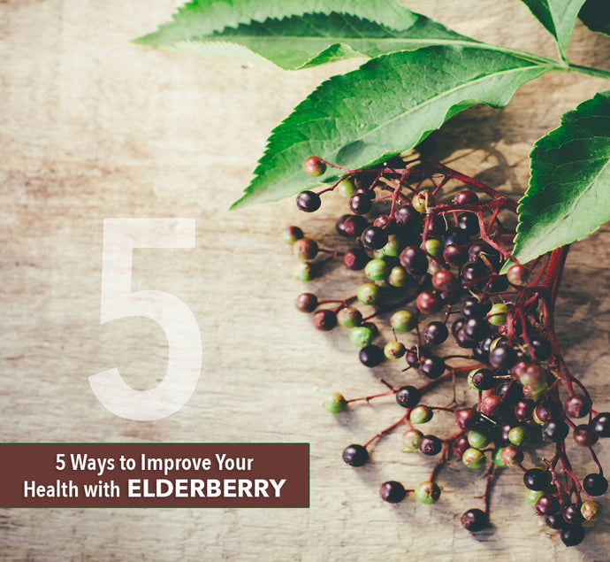 5 Ways to Improve Your Health with Elderberry