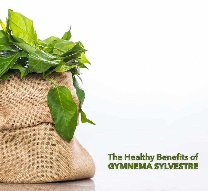 The Healthy Benefits of Gymnema Sylvestre