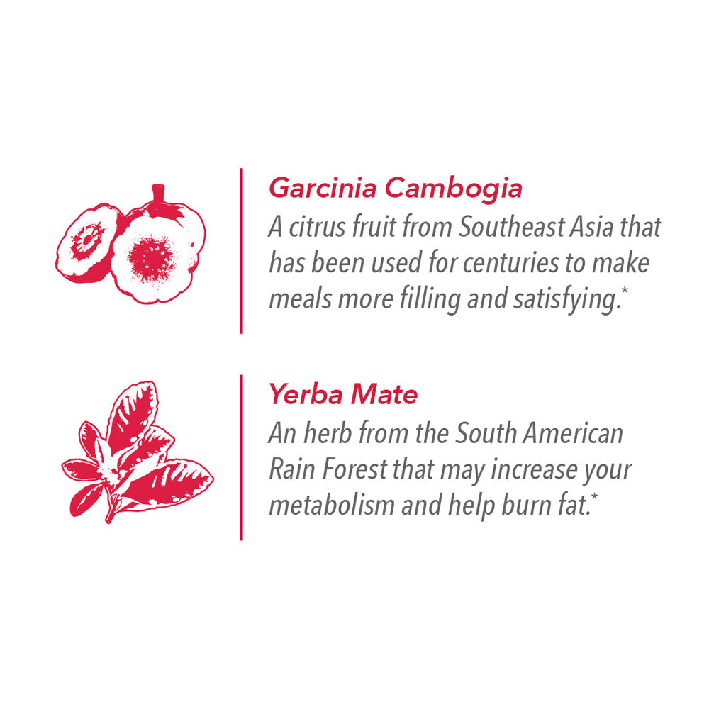 Javita Coffee Variety 3 Pack