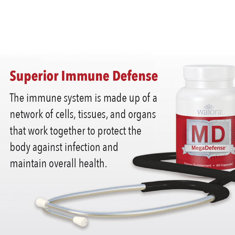 MegaDefense Family Pack (4 bottles)