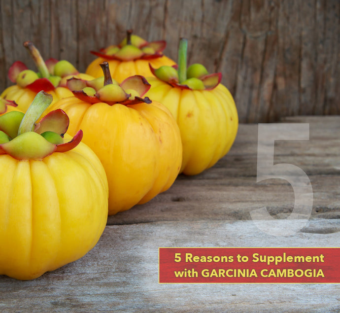 5 Reasons to Supplement with Garcinia Cambogia