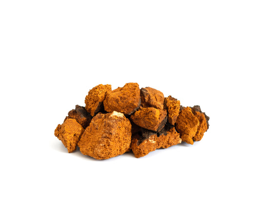 Chaga: the 'King' of Medicinal Mushrooms