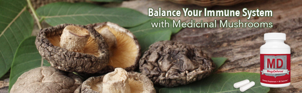 Superfood Power of Mushrooms